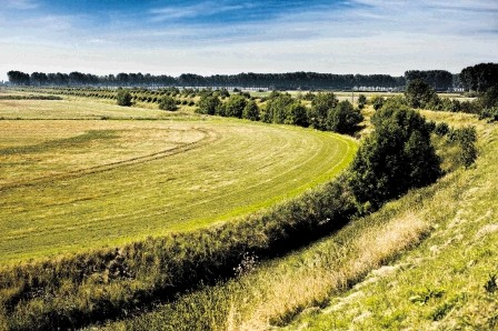 NOS meldt dat Nederland de Hedwigepolder toch onder water zal zetten