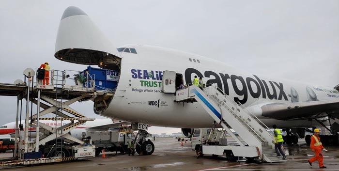 Cargolux Versterkt Digitale Aanbod met cargo.one, CargoAi en WebCargo