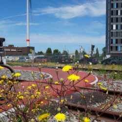 Steeds meer fietsers in de haven van Antwerpen