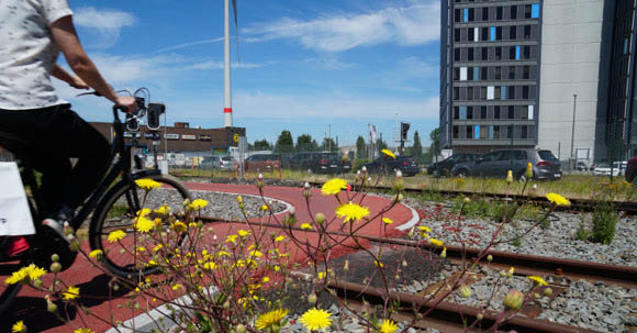 Steeds meer fietsers in de haven van Antwerpen