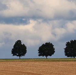 Grond vinden voor semi-industrieel en logistiek vastgoed is een grote uitdaging