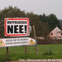 hedwigepolder