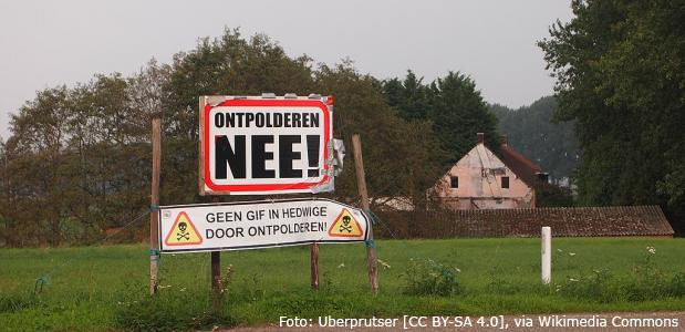 hedwigepolder