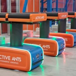 Active Ants