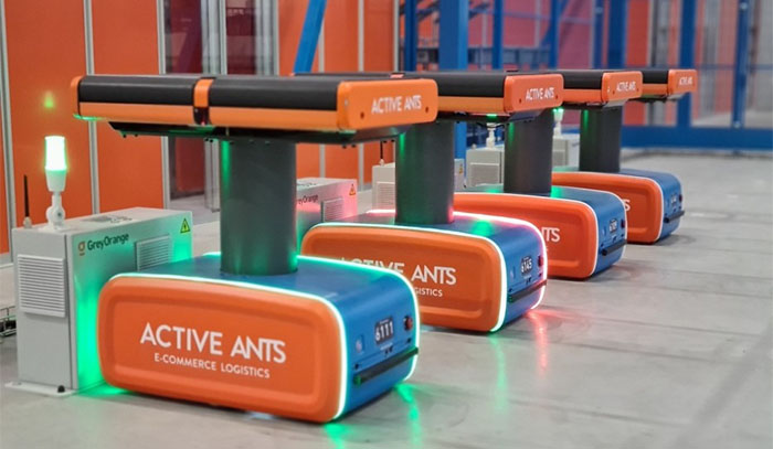 Active Ants