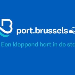 Trafiek 2024: Haven van Brussel ziet groei in binnenvaart en cruiseverkeer