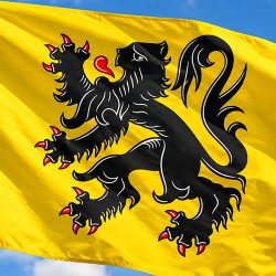 Vlaamse vlag - Vlaamse regering